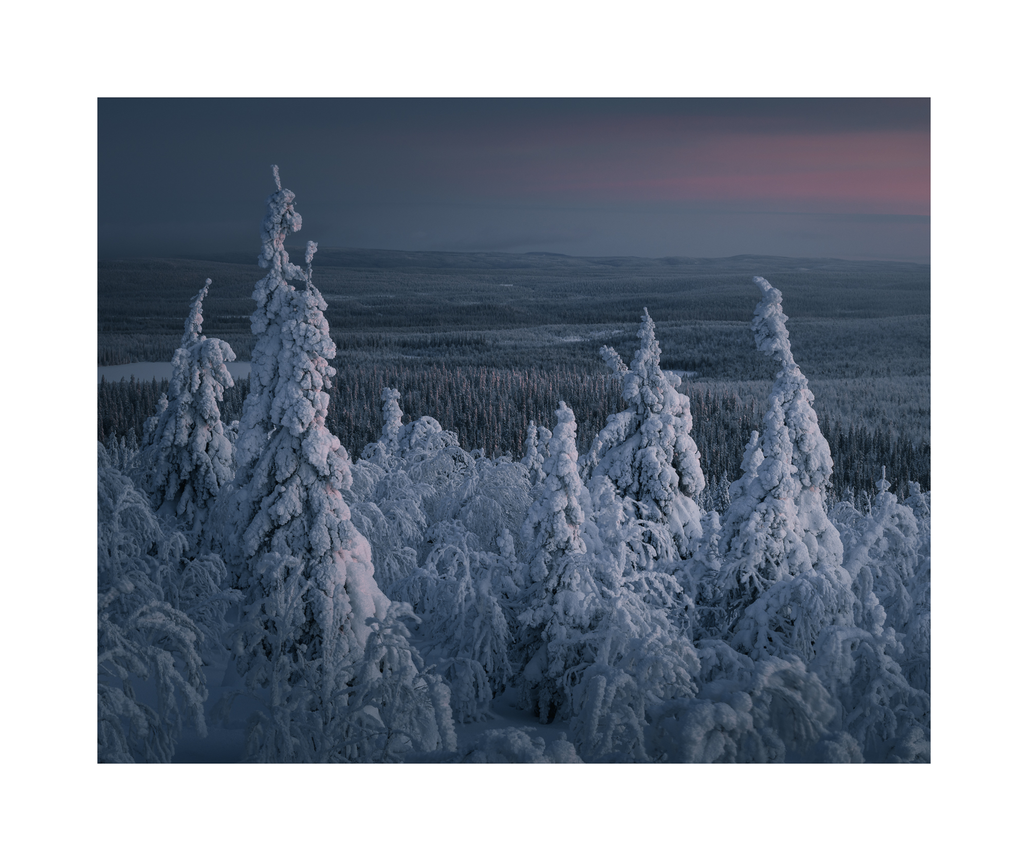 WINTER WONDERLAND