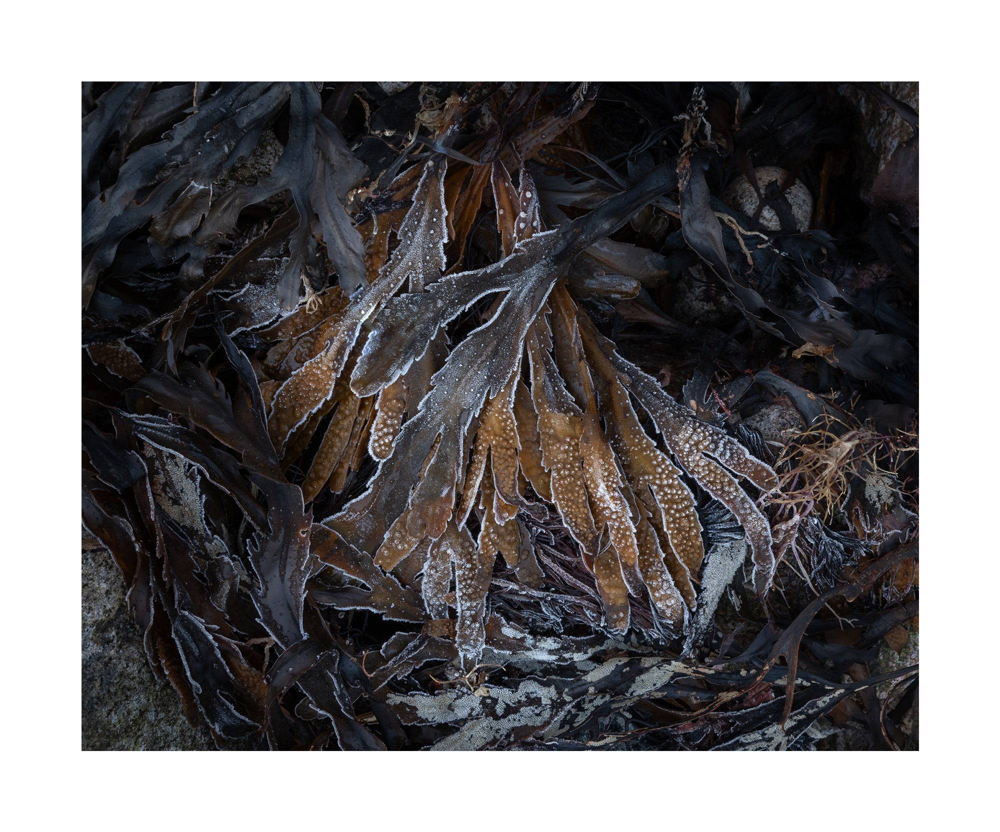 Fragments